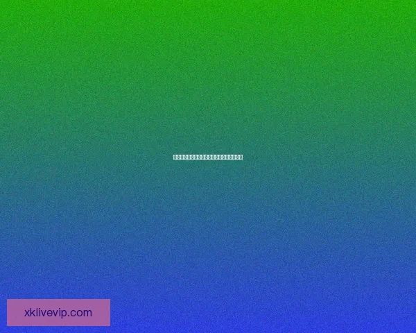 星空体育下载安装指南与最新功能体验全解析